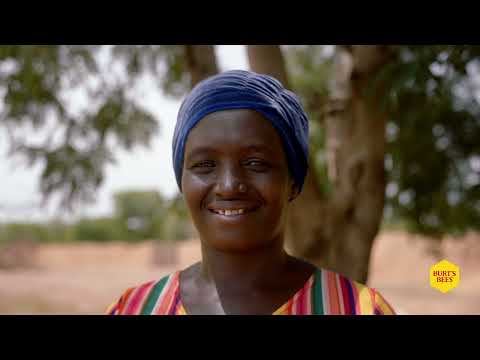 Shea + Coconut Oil Moisturizing Lip Balm